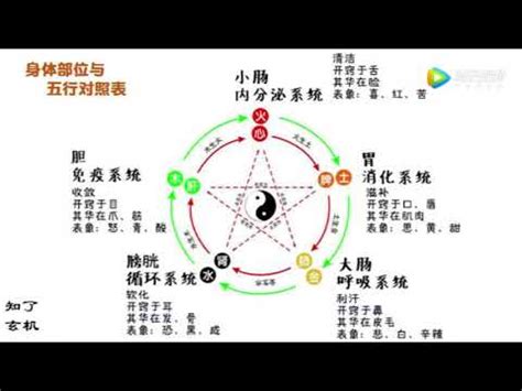 五行 身體部位|教你學八字23:五行干支，對應身體部位